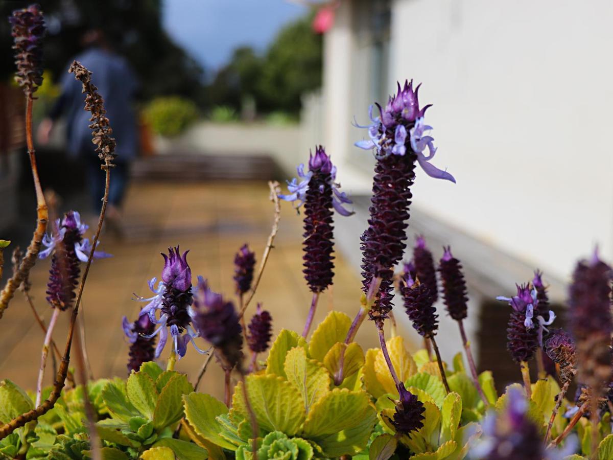 Bellum Hotel Mount Gambier Zewnętrze zdjęcie